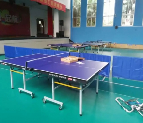 罗城比赛用乒乓球地胶PVC地板
