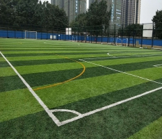 体育中心足球场人造草坪