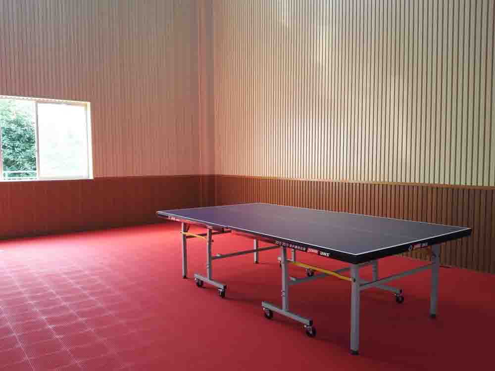 乒乓球桌、球场的标准尺寸、成冠体育