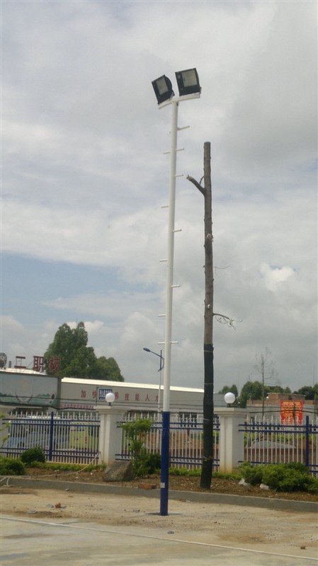 篮球场灯杆厂家