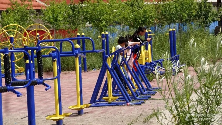 健身器材分类以及主要功能